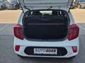 Kia Picanto 1,0 MPI Titan Weiß - thumbnail 12