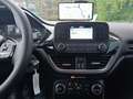 Ford Fiesta Fiesta 1.1 BENZINA TREND Blu/Azzurro - thumbnail 12