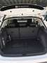 SEAT Arona Arona 1,0 Eco TSI Austria Edition Austria Edition Weiß - thumbnail 6