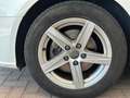 Audi A3 Design 1.6 TDI Weiß - thumbnail 24