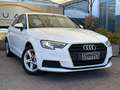 Audi A3 Design 1.6 TDI Weiß - thumbnail 3