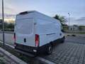 Iveco Daily Daily 35S14 Hi-Matic Automatik - Radstand 3520 - AHK 3.5t Weiß - thumbnail 6