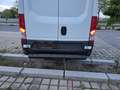 Iveco Daily Daily 35S14 Hi-Matic Automatik - Radstand 3520 - AHK 3.5t Weiß - thumbnail 5
