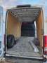 Iveco Daily Daily 35S14 Hi-Matic Automatik - Radstand 3520 - AHK 3.5t Weiß - thumbnail 9