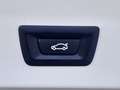 BMW X4 xDrive 20dA Azul - thumbnail 22