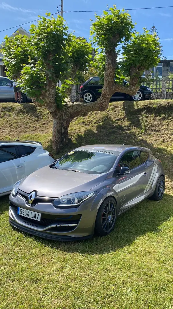 Renault Megane Mégane Coupé 2.0 RS Trophy 275 - 1