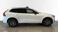 Volvo XC60 T8 Recharge Polestar Blanco - thumbnail 3