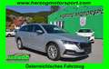Skoda Octavia Octavia Combi 2,0TDI Premium DSG MATRIX VIRT 1.BES Silber - thumbnail 1
