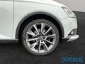 Skoda Fabia Combi 1.0TSI Scoutline LED SHZ GRA PDC vorn & hint Blanc - thumbnail 8