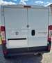 Fiat Ducato multijet 3.0 180CV - thumbnail 3