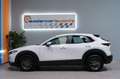 Mazda CX-30 SKYACTIV-G 2.0 2WD EVOLUTION 122CV Blanc - thumbnail 8