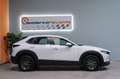 Mazda CX-30 SKYACTIV-G 2.0 2WD EVOLUTION 122CV Blanc - thumbnail 4