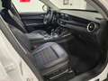 Alfa Romeo Stelvio 2.2 Turbodiesel Super Q4 210cv Auto Full Bianco - thumbnail 10