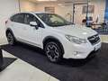 Subaru XV 2.0 D 4x4 AWD Executive* Eerste eigenaar * Camera Wit - thumbnail 8