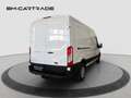 Ford Transit L3H2 Trend AWD/AHK/NEUWERTIG Weiß - thumbnail 6