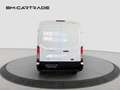 Ford Transit L3H2 Trend AWD/AHK/NEUWERTIG Weiß - thumbnail 5