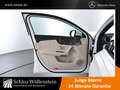 Mercedes-Benz A 220 d 4M Progressive/MULTIBEAM/Keyless/Sitzbel Weiß - thumbnail 3