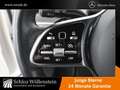 Mercedes-Benz A 220 d 4M Progressive/MULTIBEAM/Keyless/Sitzbel Weiß - thumbnail 17