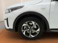Kia XCeed 1.0 T-GDi Business Blanc - thumbnail 11