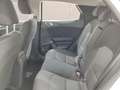 Kia XCeed 1.0 T-GDi Business Blanc - thumbnail 30