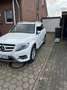 Mercedes-Benz GLK 220 GLK 220 CDI BlueEfficiency 4Matic (204.984) Weiß - thumbnail 6