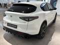 Alfa Romeo Stelvio 2.2 TD 210 CV Veloce AT8 Q4 Weiß - thumbnail 3