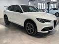 Alfa Romeo Stelvio 2.2 TD 210 CV Veloce AT8 Q4 Weiß - thumbnail 7