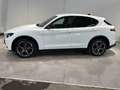 Alfa Romeo Stelvio 2.2 TD 210 CV Veloce AT8 Q4 Weiß - thumbnail 6