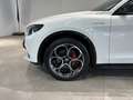 Alfa Romeo Stelvio 2.2 TD 210 CV Veloce AT8 Q4 Weiß - thumbnail 8
