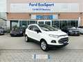 Ford EcoSport 1.0 ecoboost Titanium s Bianco - thumbnail 1