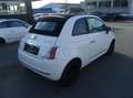 Fiat 500 500 C 0.9 TwinAir Plus Klima Teilleder HU/AU NEU Weiß - thumbnail 3