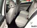 Volkswagen Golf VIII 1.4 eHybrid Style DSG Navi ACC SHZ LED Wit - thumbnail 10