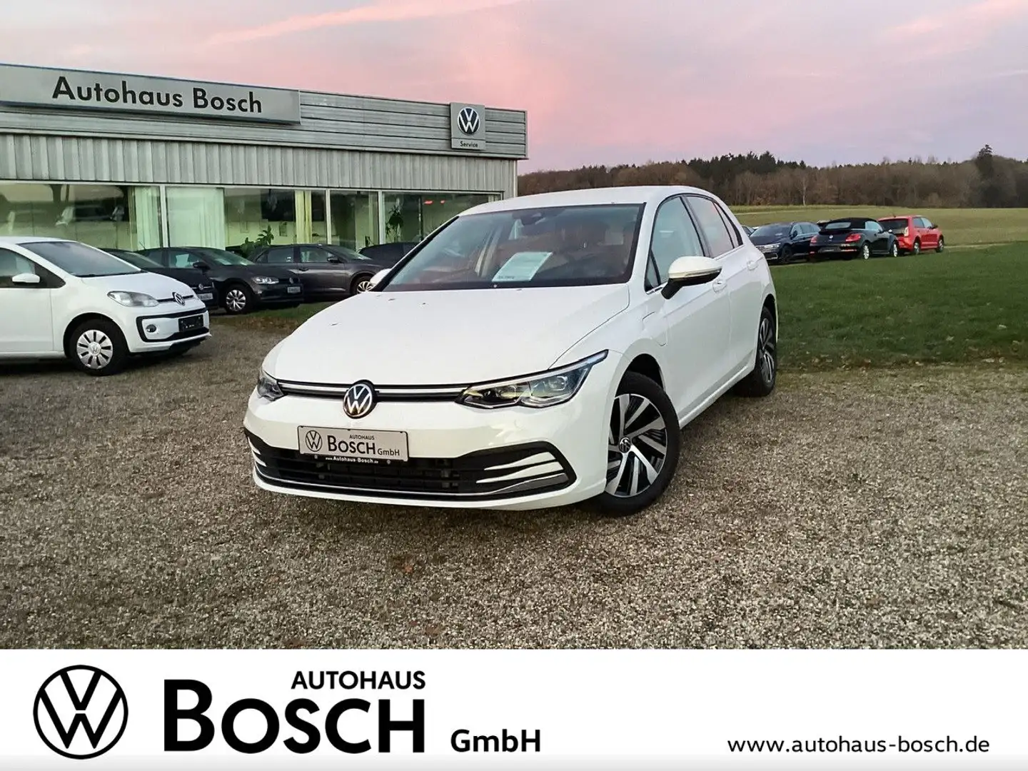 Volkswagen Golf VIII 1.4 eHybrid Style DSG Navi ACC SHZ LED Blanco - 1