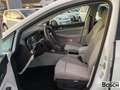 Volkswagen Golf VIII 1.4 eHybrid Style DSG Navi ACC SHZ LED Blanco - thumbnail 11