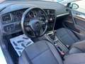 Volkswagen Golf 1.0 TSI Advance 81kW Wit - thumbnail 33