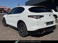 Alfa Romeo Stelvio 2.2 Turbodiesel 210 CV AT8 Q4 Veloce Bianco - thumbnail 7