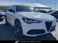Alfa Romeo Stelvio 2.2 Turbodiesel 210 CV AT8 Q4 Veloce Bianco - thumbnail 3