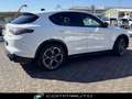 Alfa Romeo Stelvio 2.2 Turbodiesel 210 CV AT8 Q4 Veloce Bianco - thumbnail 5