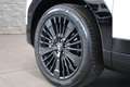 Hyundai SANTA FE (MX5) Calligraphy 1.6 T-GDI PHEV 4WD 6 Sitzer Weiß - thumbnail 23