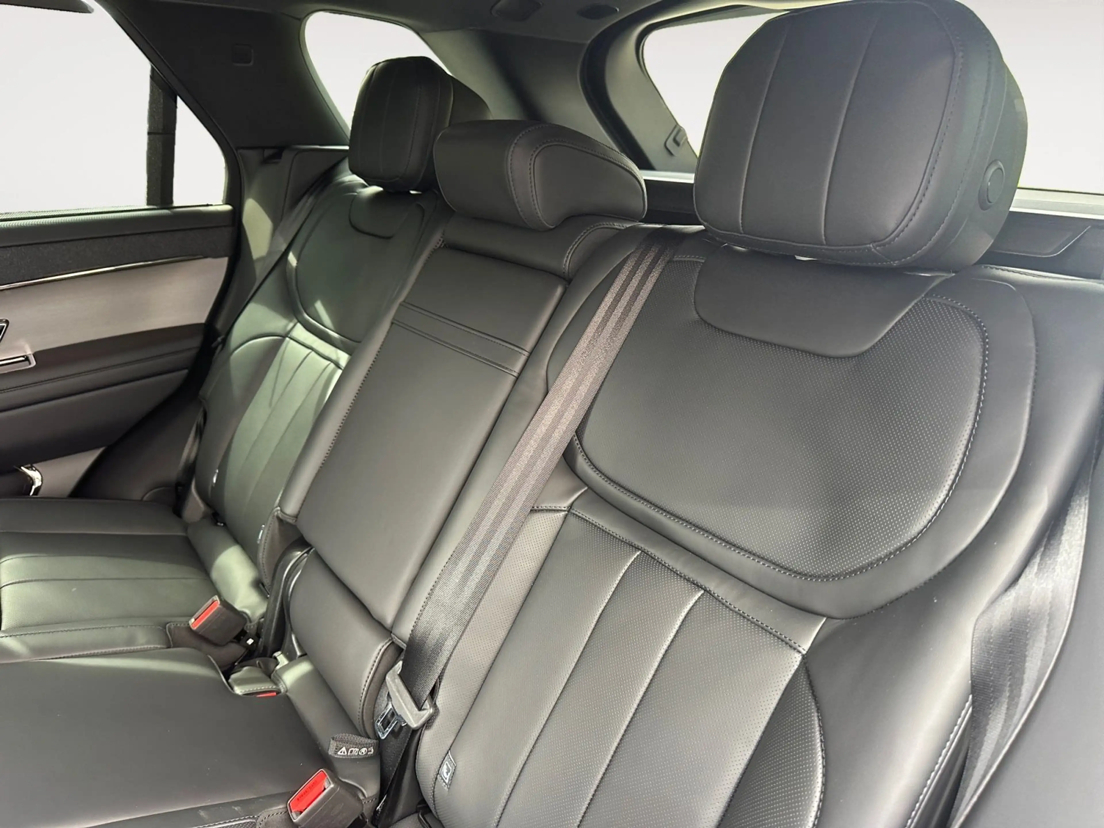 Land Rover Range Rover Sport Dynamic SE/sw-sw/AHK/BlackP/22 — photo 13