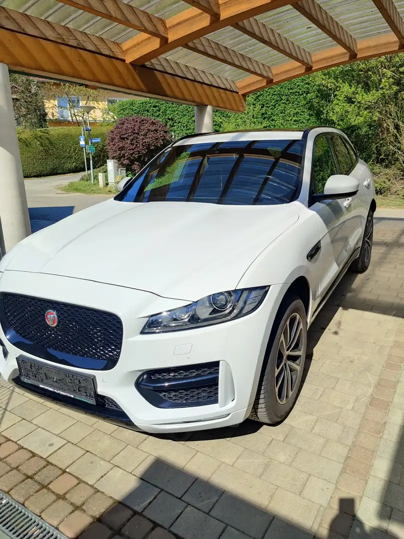 Jaguar F-Pace F-Pace 20d AWD R-Sport Aut. R-Sport Weiß - 1