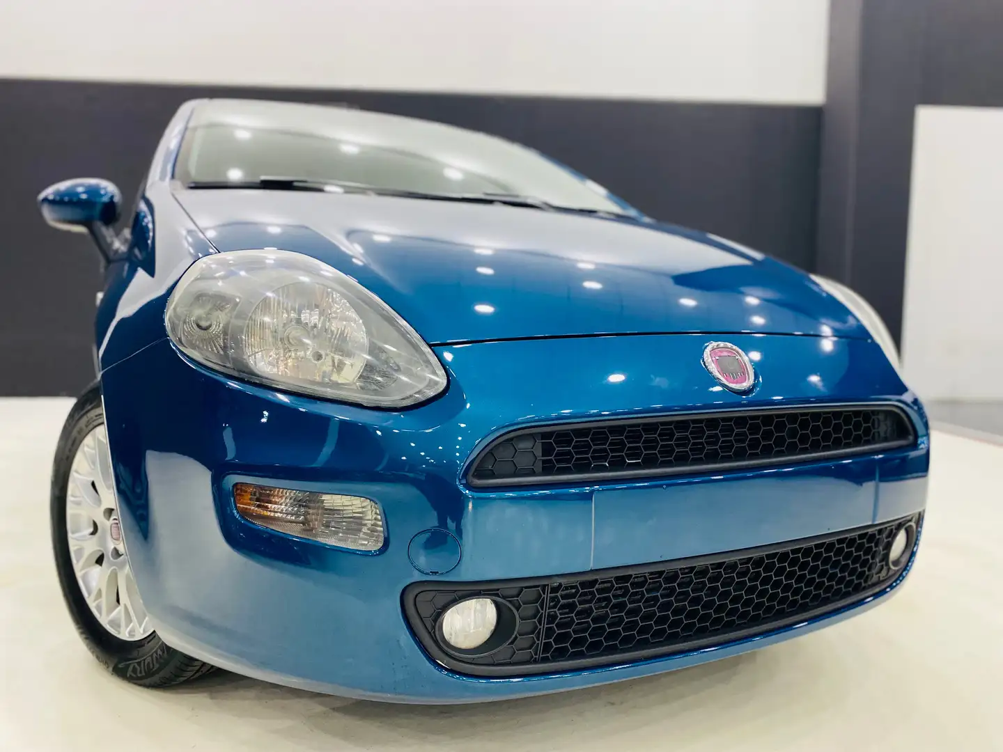 Fiat Punto 5p 1.3 mjt II 16v Lounge eco s Blu/Azzurro - 1
