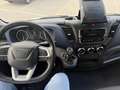 Iveco Daily 35C16H3.0 Cent Reg Sponda Idra4440x2240x2850 kg880 Blanc - thumbnail 12