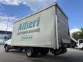 Iveco Daily 35C16H3.0 Cent Reg Sponda Idra4440x2240x2850 kg880 Blanc - thumbnail 8