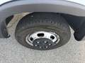 Iveco Daily 35C16H3.0 Cent Reg Sponda Idra4440x2240x2850 kg880 Blanc - thumbnail 24