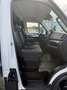 Iveco Daily 35C16H3.0 Cent Reg Sponda Idra4440x2240x2850 kg880 Blanc - thumbnail 16