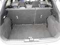 Ford Puma 1.0 125PK EcoBoost Automaat ST Line / Camera / Tre Wit - thumbnail 30