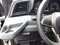 Renault Master PKW extra L2H2 3,5t Blue dCi 170 AT 9 Sitzer Umbau Plateado - thumbnail 26