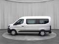 Renault Master PKW extra L2H2 3,5t Blue dCi 170 AT 9 Sitzer Umbau Plateado - thumbnail 6