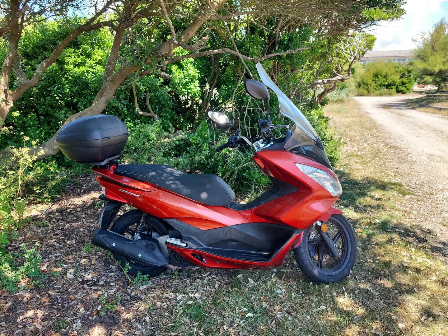 Honda PCX 125 Rouge - 2